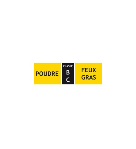 Étiquettes adhésives pour extincteur polyvalent BC KIT 10 AUTOCOLLANTS EXTINCTEUR POUDRE BC